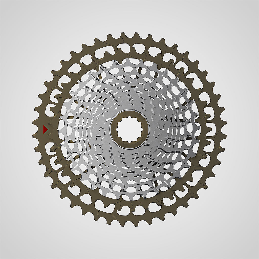 INGRID 44T11 12 Speed Cassette – BiciclistaUS